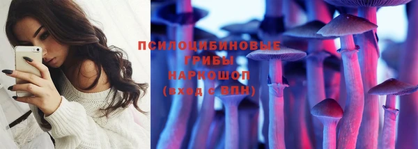 сатива Протвино