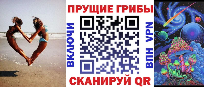 Галлюциногенные грибы Psilocybine cubensis  Котельнич 